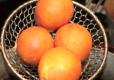 How To Make Colombian Cheeseballs