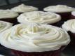 Buttermilk Chocolate Cupcakes with Chocolate Ganache