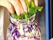 Raw Sauerkraut - Benefits of Probiotics - Part 2