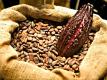 My Personal Cacao Incident 
