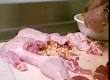 How To Prepare A Duck - Part 3