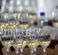 California Chardonnays (part 1) : Linda Murphy