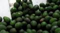 California Avocado