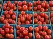 Tomato Canning Basics Video