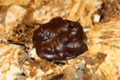 CherylsHomeCooking/Home Made Candy Turtles