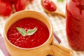Canned Tomato Sauce 
