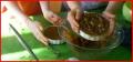 How To Make Jana And Chloe Make A Raw Carrot Cake