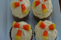 Cream Cheese Frosted Carrot and Walnut Cupcakes