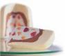 Specialty Pastries And Cake From La Gulli
