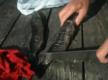 How To Catch And Clean Pickerel
