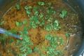 Channa Dal Curry