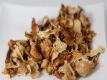 Wild Mushrooms