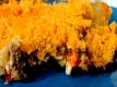 Cheesy Taco Potato Bake - Super Bowl