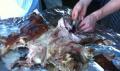 Chef Matt With A Cabeza And A Cleaver