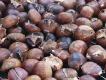 How To Make Chestnut Roast