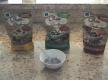 Homemade Chia Goodness