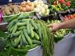 Chiang Mai Tanin Market: Raw Foods In Thailand!
