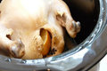 How To Make Chicken In A Crock Pot