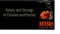Using Chicken And Poultry Safely