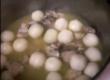 Chicken And Taro Recipe Video