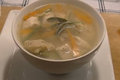 Chicken Dumpling Soup