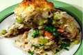 Chicken Stew with Biscuit Topping