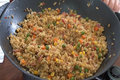 Chinese Style Fried Brown Rice