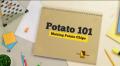 Making Potato Chips