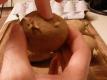 How To Grow Chitting Potatoes