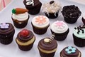 Chocolate Center Sponge Cupcake