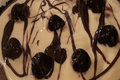 Chocolate Cherry Cheesecake Frozen Yogurt Pie