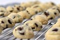 Chocolate Chip Cheesecake Cookie Bites  