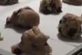 How To Make Chocolate Chip Cookies In The Bag Holder