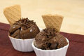 Chocolate Ice Cream  