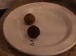 How To Make No Bake Raw Chocolate Truffles