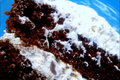 How To Make Chocolate Turtle Cream Cake