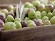 Choosing Olive Oil | Olive Oil Varieties & Information 