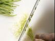 How To Chop Herbs