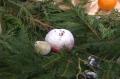 How To Make Your Christmas Table Green