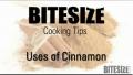 Uses Of Cinnamon Video