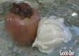 Cinnamon Cranberry Baked Apples and Cinnamon Yogurt