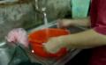How To Clean Shrimps