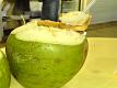 Was Coconut Water Really Used For Blood Transfusions