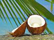 The Health Benefits of Coconuts