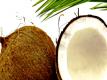 Is Coconut Oil Healthy and What About Lycopene 