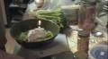 Blended Soup 