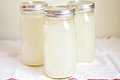 How To Make Coconut Kefir