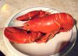 How To Make Cold Boiled Lobster