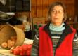 Community Agriculture Trends