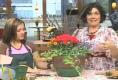 Container Garden Making Tips